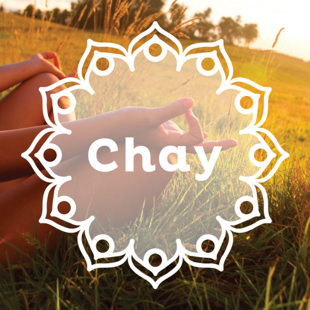 chay-logo
